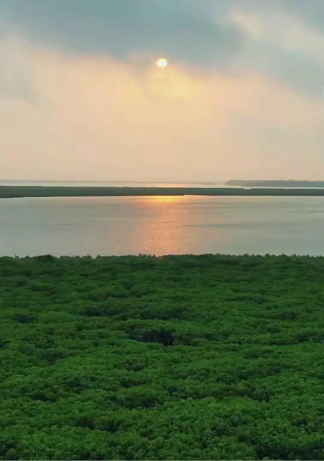 帶你看中國的綠色奇跡