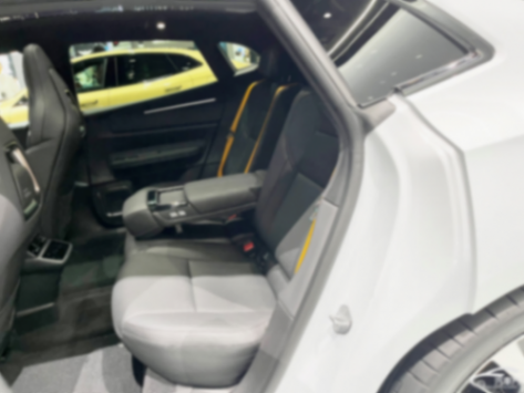 2024北京車展:實拍極星Polestar 4 14