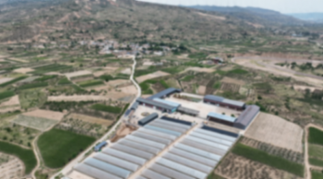 天水麻辣燙爆火背后的“辣味”贏家