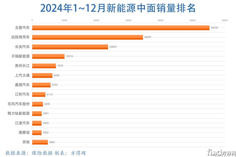 新能源輕客2024年大漲78% 新勢力搶地盤!2025“大洗牌”? 圖片6
