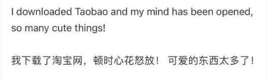 網友下載淘寶網后，留言分享自己的體驗。圖片來源：小紅書